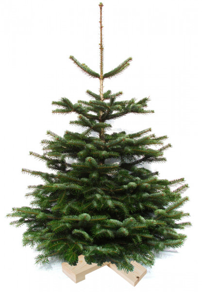 Weihnachtsbaum auf Holzkreuz 1m