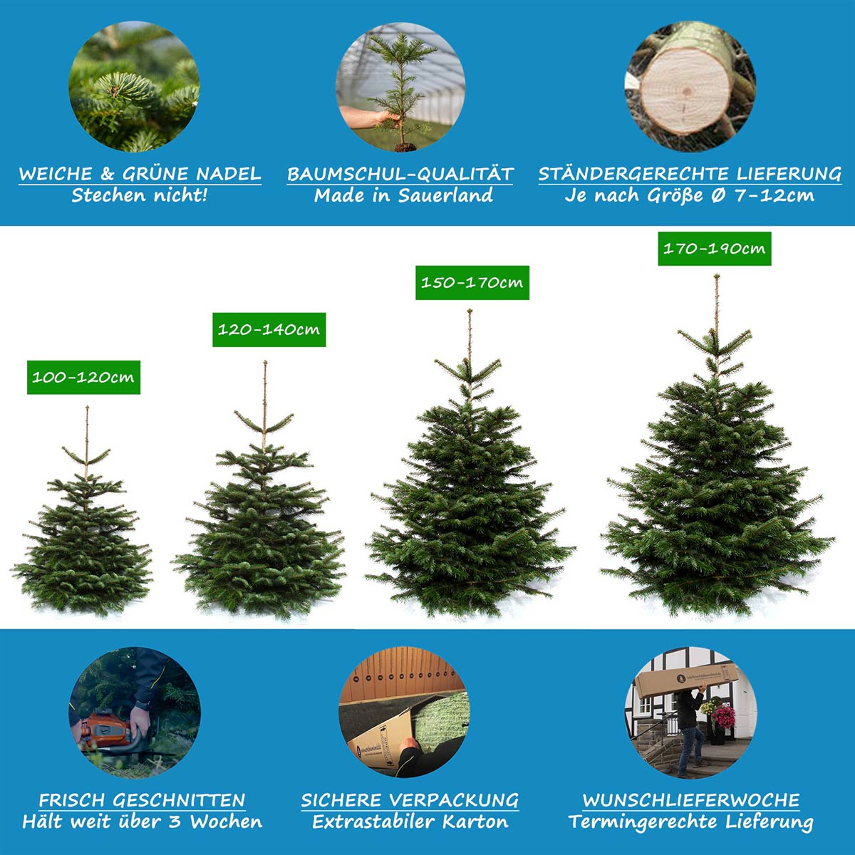 Weihnachtsbaum Nordmanntanne in vielen Größen lassen Weihnachtsbaumland® liefern 